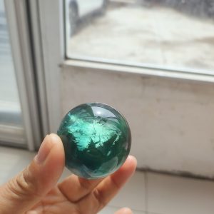 calathea beauty star